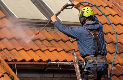 Démoussage et hydrofuge de toiture à Rognon